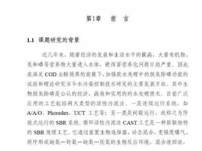 CAST反应器试验论文（毕业设计）